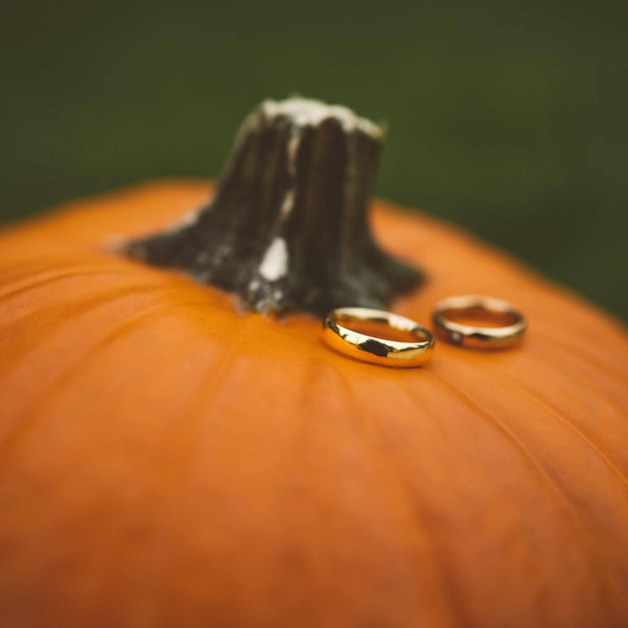 La magia dell'autunno